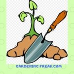 Gardening Freak