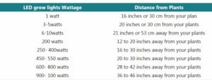 How far should led grow lights be from plants