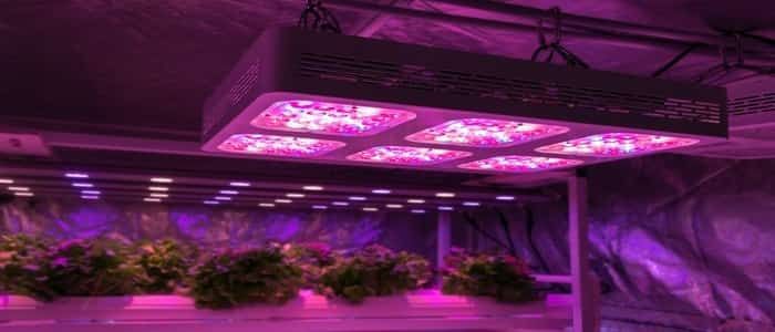 grow light height above plants