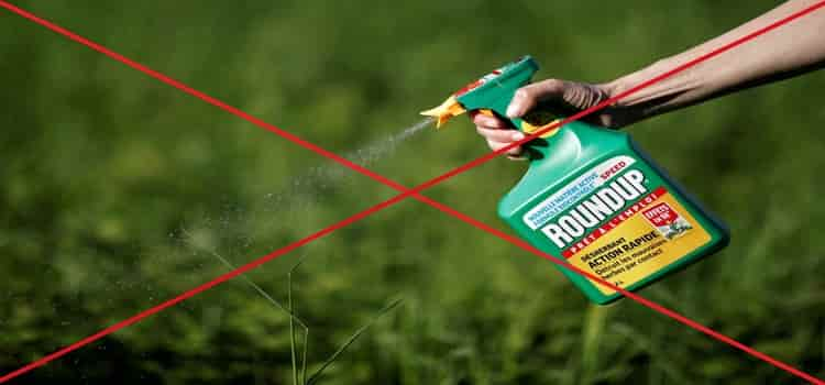 weed killer disadvantages