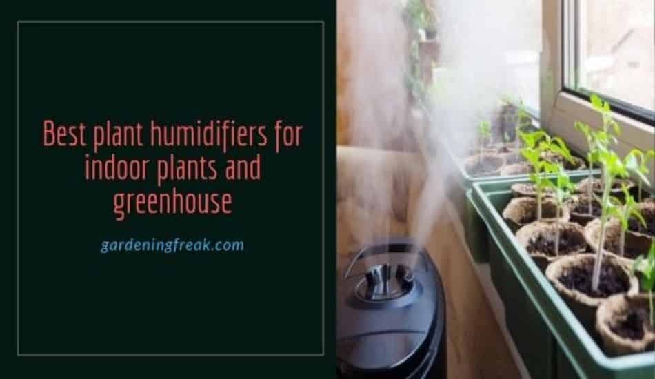 Best plant humidifiers for indoor plants and greenhouse
