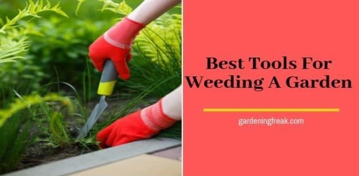 Best tools for weeding a garden