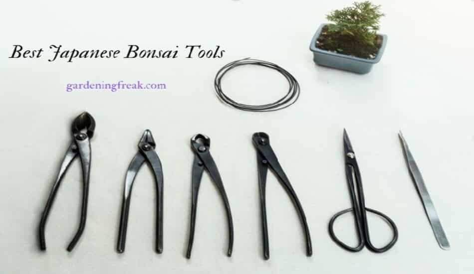 Best bonsai tools