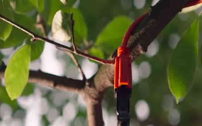 bug zapper extension cord set up