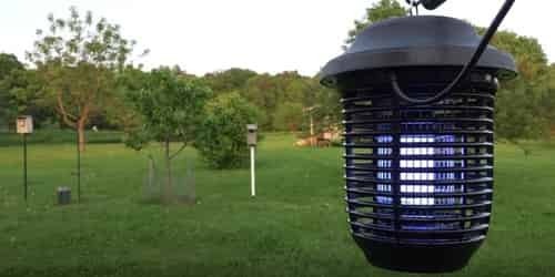 How big is the area we plan to put the bug zapper