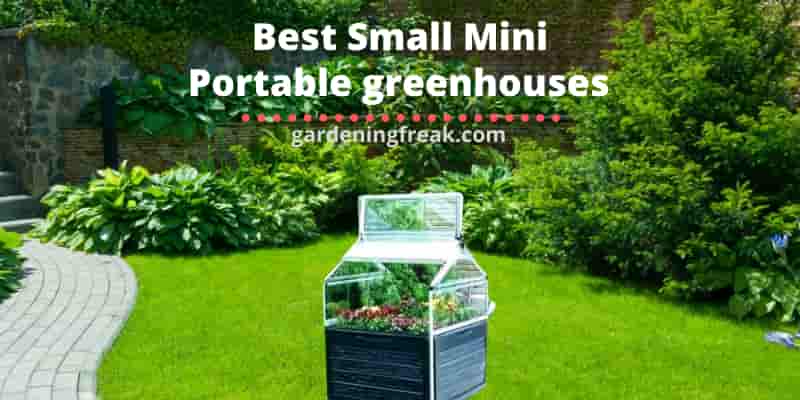 Best Portable greenhouses