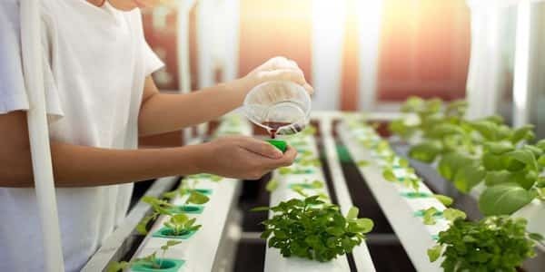 Liquid Fertilizers Applying Technique