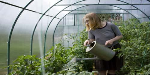 Portable greenhouses