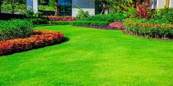 What is the size and layout of your lawn