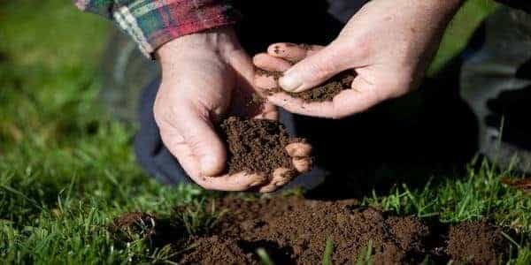 What is the soil type in your home