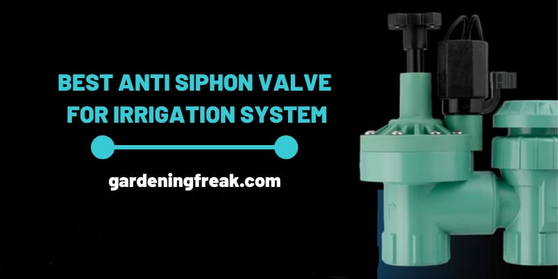 best anti siphon valve for irrigation system