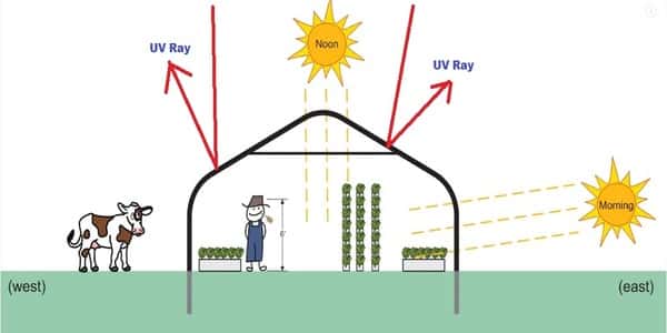UV Resistant greenhouse