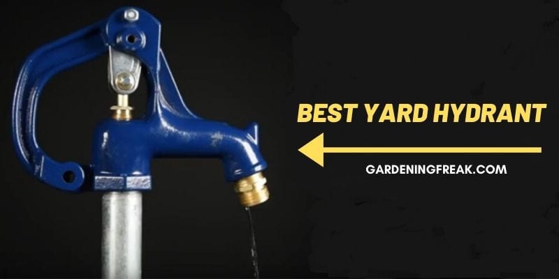 best yard hydrant