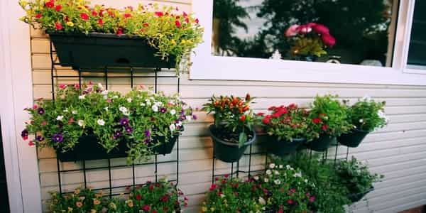 Necessary features for Outdoor planter