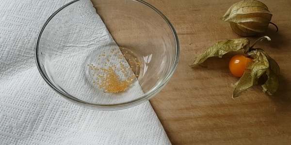 Collect the seed inside a water bowl