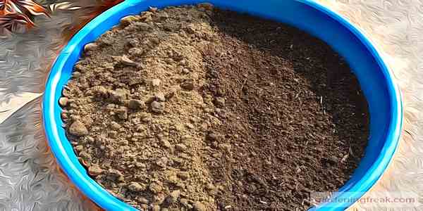 Prepare the Soil Mix