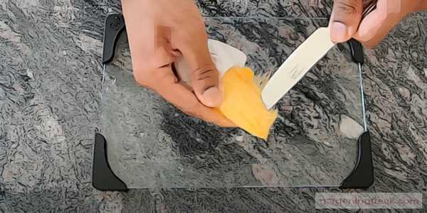Remove the Hard Husk From the Seed of mango fruit
