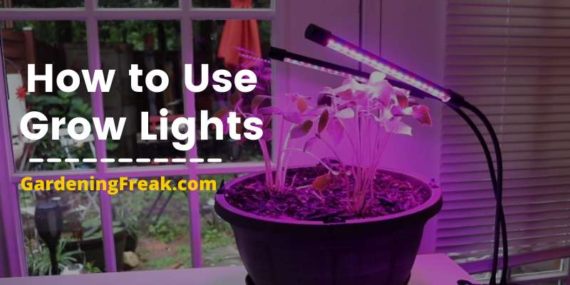 how to use grow lights