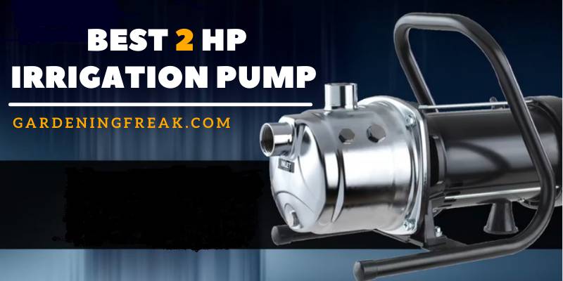 Best 2 hp Irrigation Pump