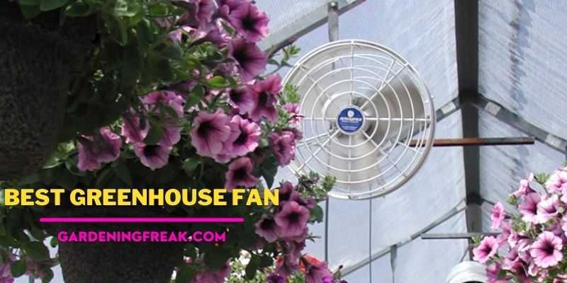 best greenhouse fan