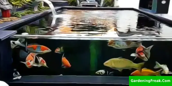 How Deep Should a Pond be for Koi