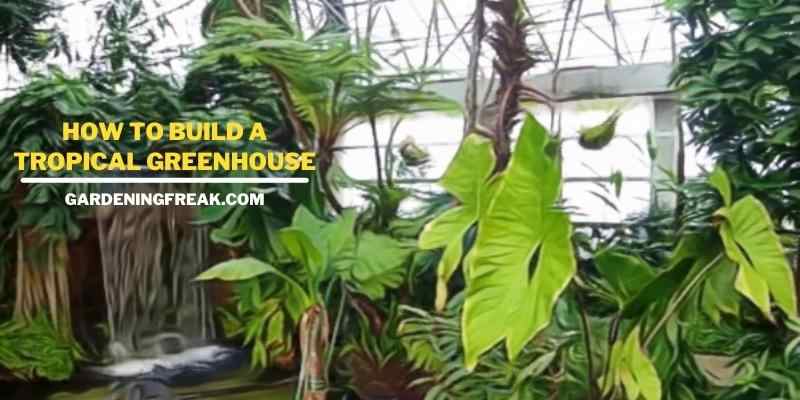 How To Build A Tropical Greenhouse