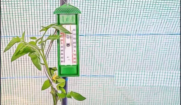 Setup greenhouse thermometer