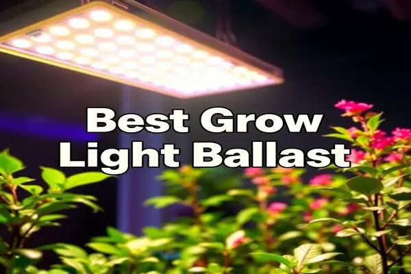 Best Grow Light Ballast