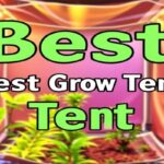 Best Grow Tent