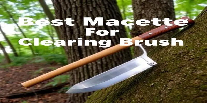 Best Machete for Clearing Brush