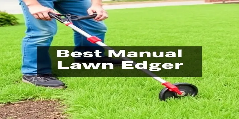 Best Manual Lawn Edger