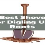 Best Shovel for Digging Up Roots